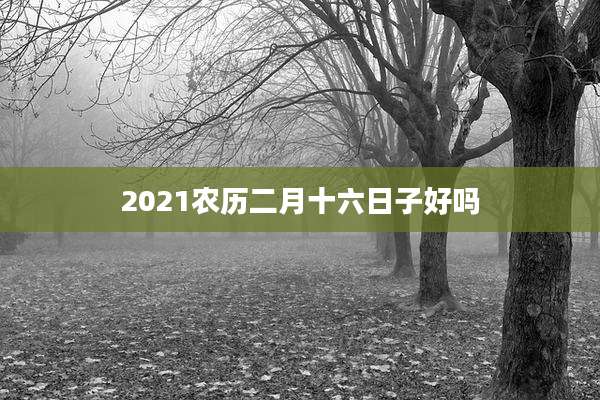 2021农历二月十六日子好吗