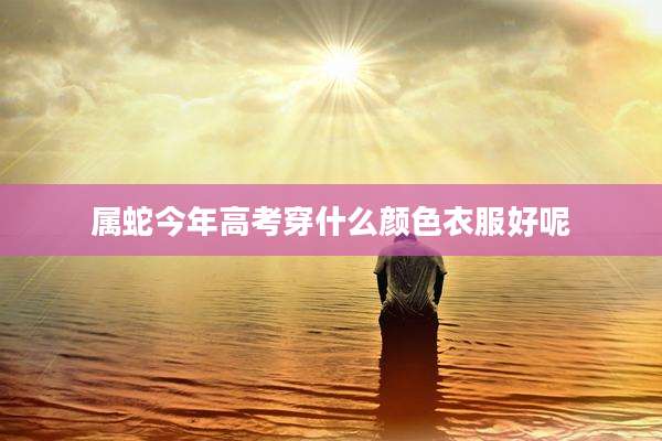 属蛇今年高考穿什么颜色衣服好呢