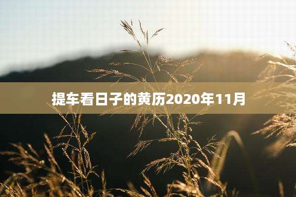 提车看日子的黄历2020年11月
