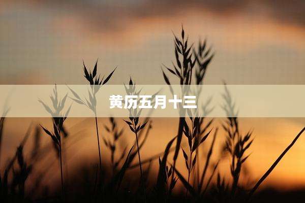 黄历五月十三