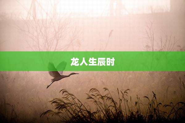 龙人生辰时