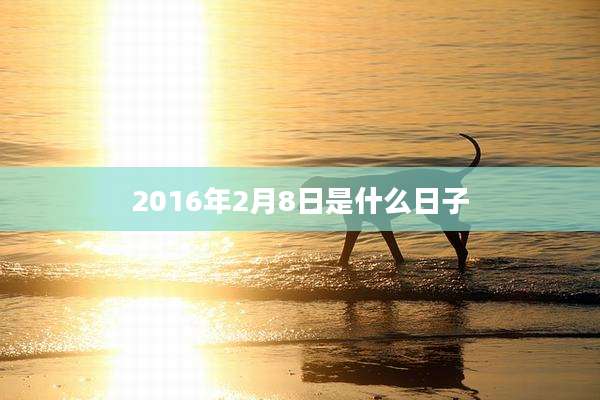 2016年2月8日是什么日子