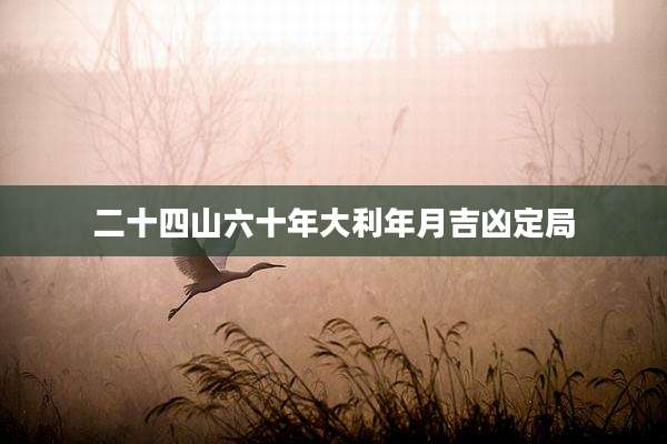 二十四山六十年大利年月吉凶定局