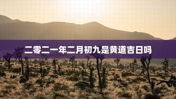 二零二一年二月初九是黄道吉日吗