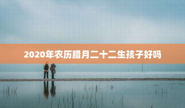 2020年农历腊月二十二生孩子好吗