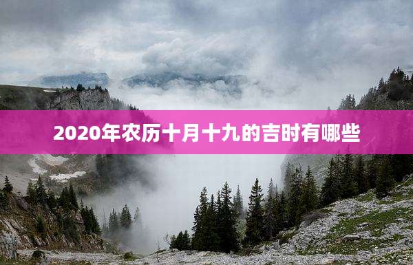 2020年农历十月十九的吉时有哪些