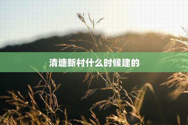清塘新村什么时候建的