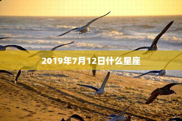 2019年7月12日什么星座