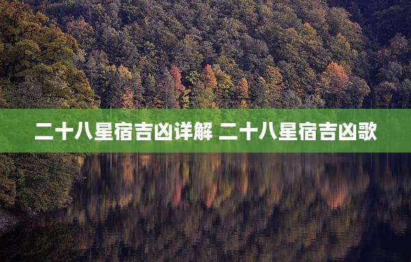 二十八星宿吉凶详解 二十八星宿吉凶歌