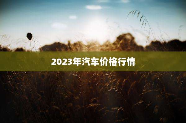 2023年汽车价格行情