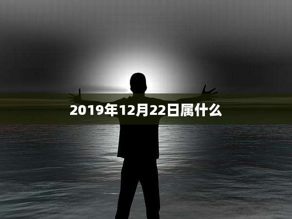2019年12月22日属什么