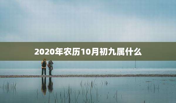 2020年农历10月初九属什么