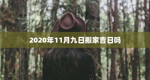 2020年11月九日搬家吉日吗