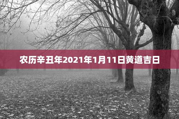 农历辛丑年2021年1月11日黄道吉日