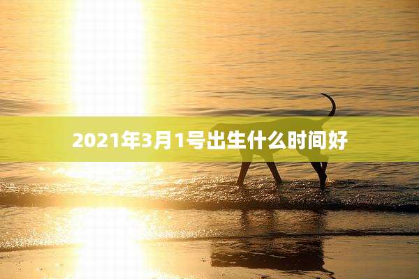 2021年3月1号出生什么时间好