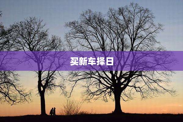 买新车择日