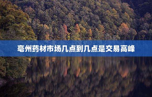 亳州药材市场几点到几点是交易高峰