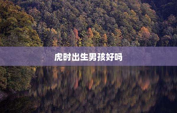 虎时出生男孩好吗