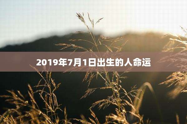 2019年7月1日出生的人命运
