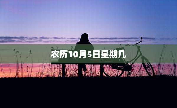 农历10月5日星期几