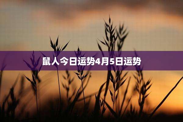 鼠人今日运势4月5日运势