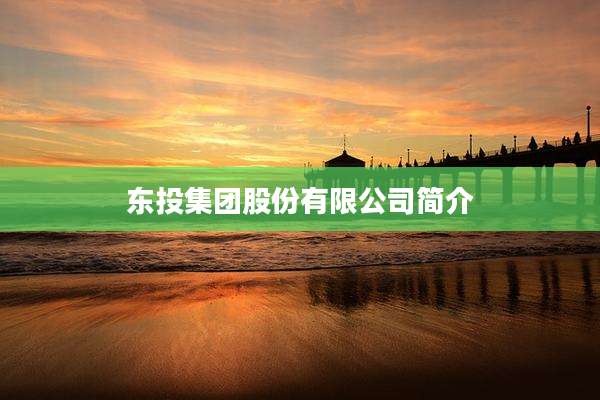东投集团股份有限公司简介