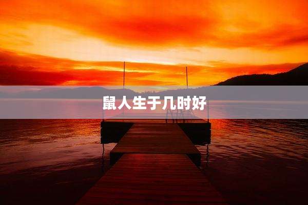 鼠人生于几时好