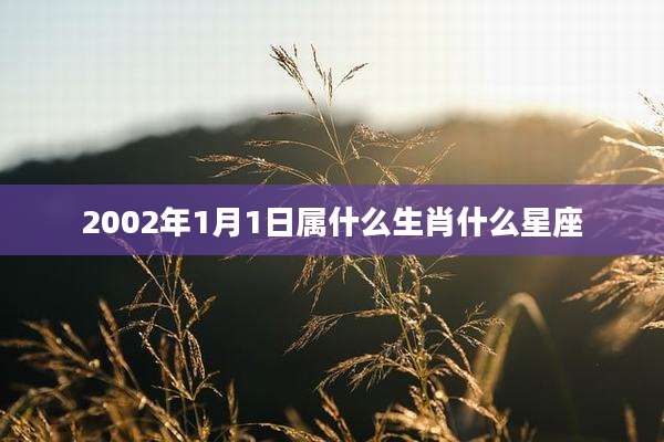 2002年1月1日属什么生肖什么星座