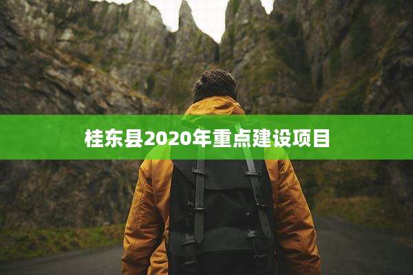 桂东县2020年重点建设项目