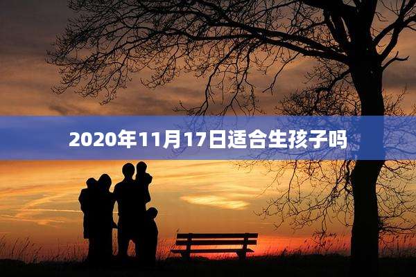 2020年11月17日适合生孩子吗