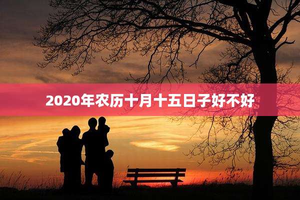 2020年农历十月十五日子好不好