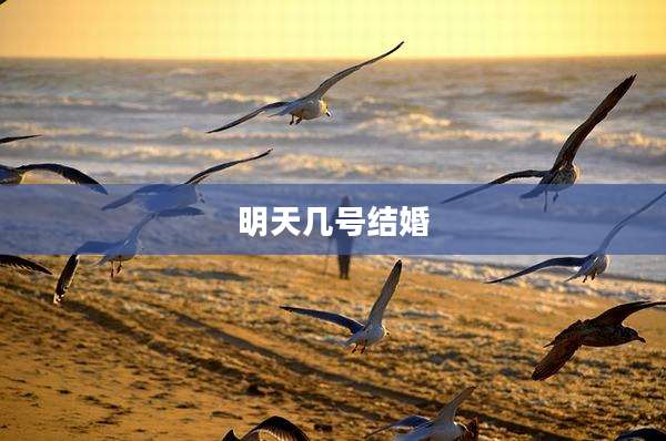 明天几号结婚