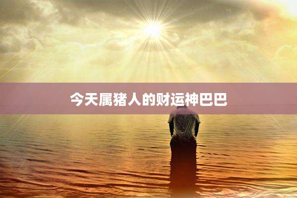 今天属猪人的财运神巴巴