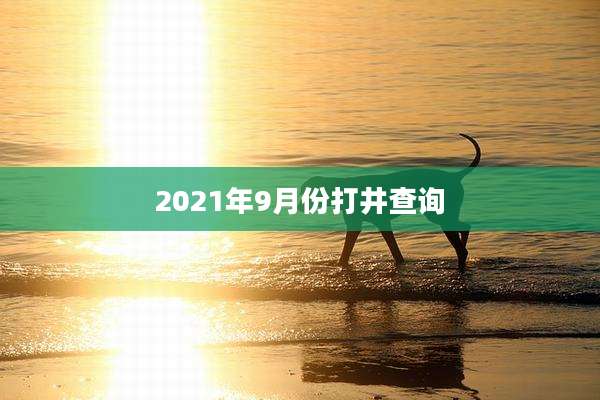 2021年9月份打井查询
