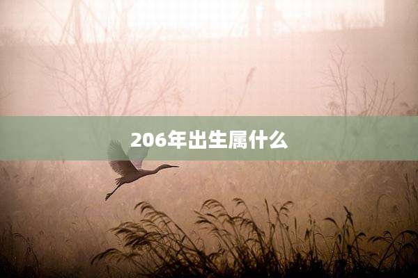 206年出生属什么