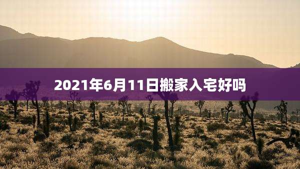 2021年6月11日搬家入宅好吗