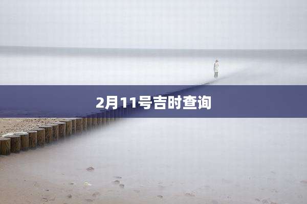 2月11号吉时查询
