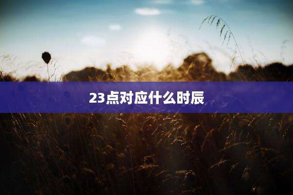 23点对应什么时辰