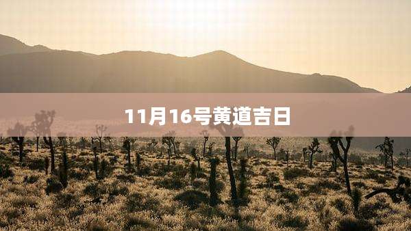 11月16号黄道吉日