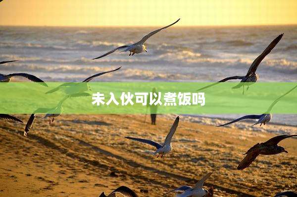 未入伙可以煮饭吗