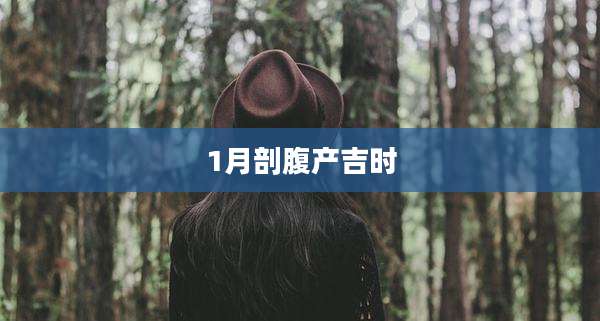 1月剖腹产吉时