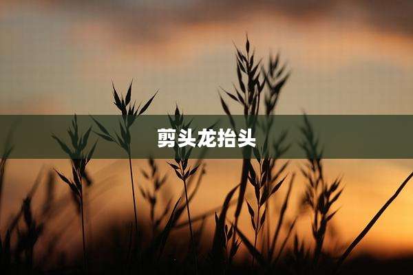 剪头龙抬头