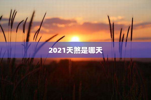 2021天煞是哪天