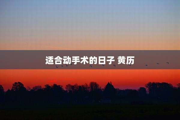 适合动手术的日子 黄历