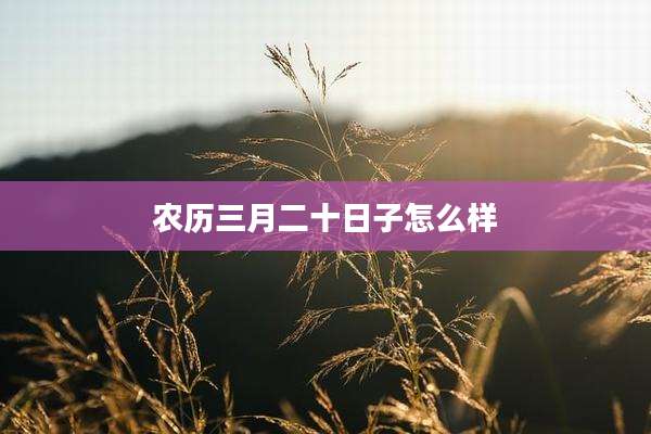 农历三月二十日子怎么样