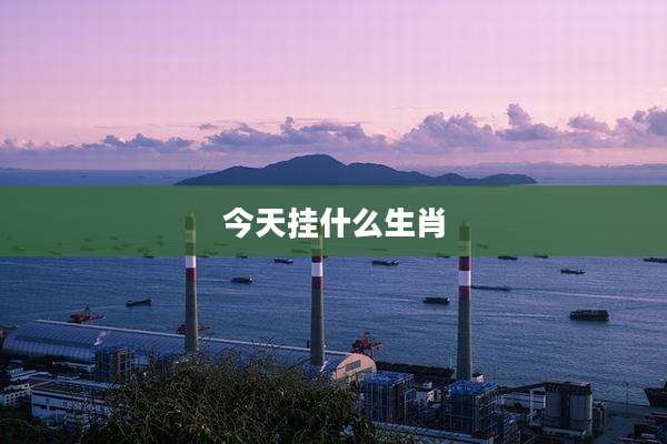 今天挂什么生肖