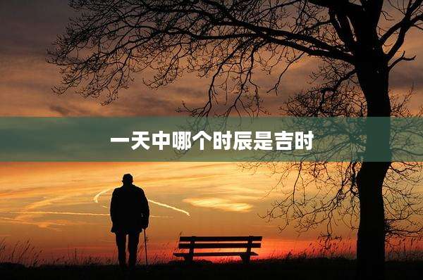一天中哪个时辰是吉时