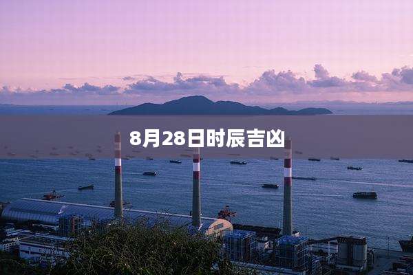 8月28日时辰吉凶