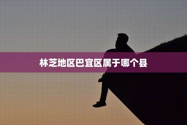 林芝地区巴宜区属于哪个县