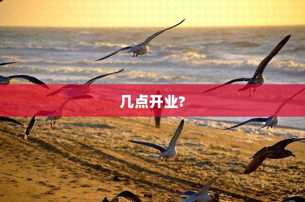几点开业?